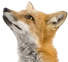 PASOE Manager Extension